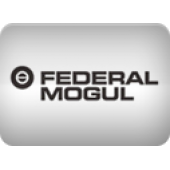 FEDERAL MOGUL